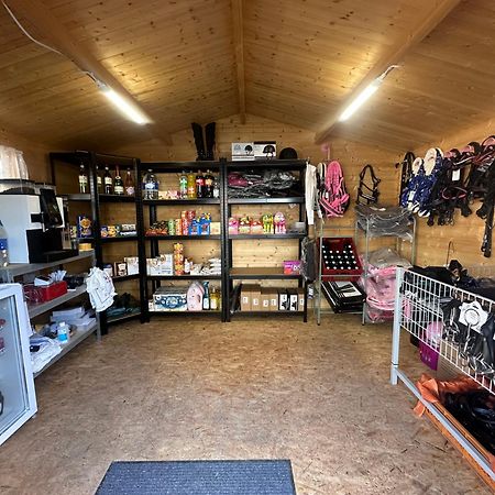 Fewo Im Reit- Und Ponyparadies Roos Halle  Екстер'єр фото