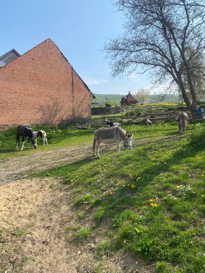 Fewo Im Reit- Und Ponyparadies Roos Halle  Екстер'єр фото
