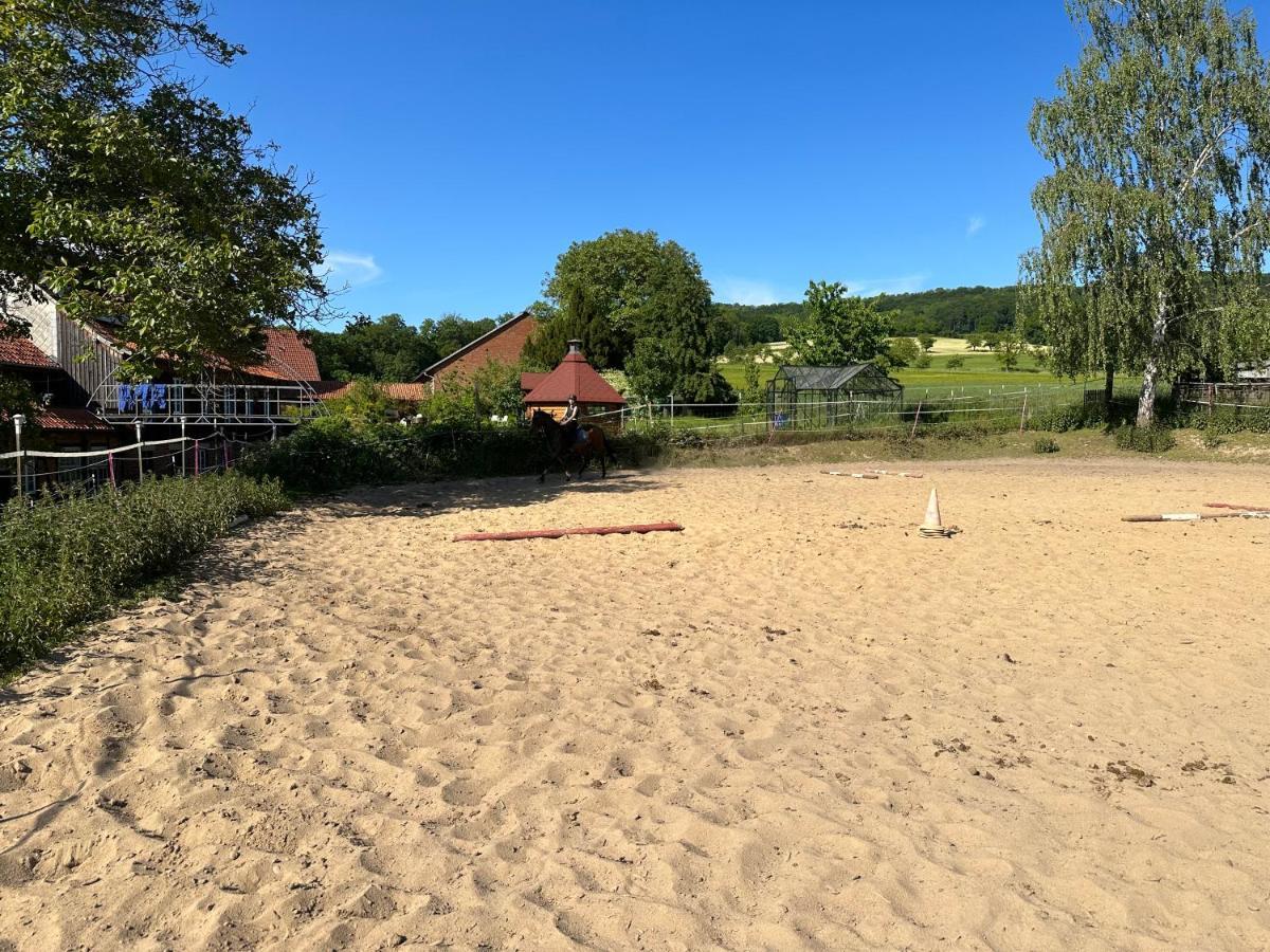 Fewo Im Reit- Und Ponyparadies Roos Halle  Екстер'єр фото