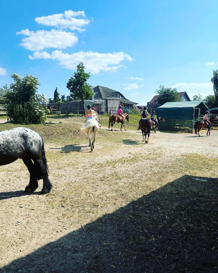 Fewo Im Reit- Und Ponyparadies Roos Halle  Екстер'єр фото