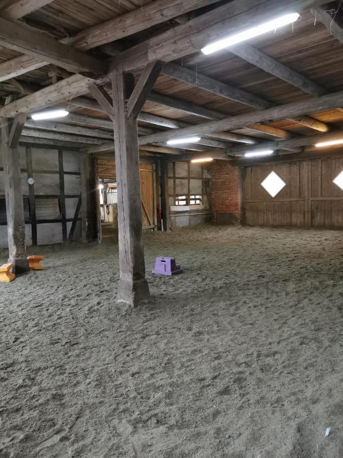 Fewo Im Reit- Und Ponyparadies Roos Halle  Екстер'єр фото