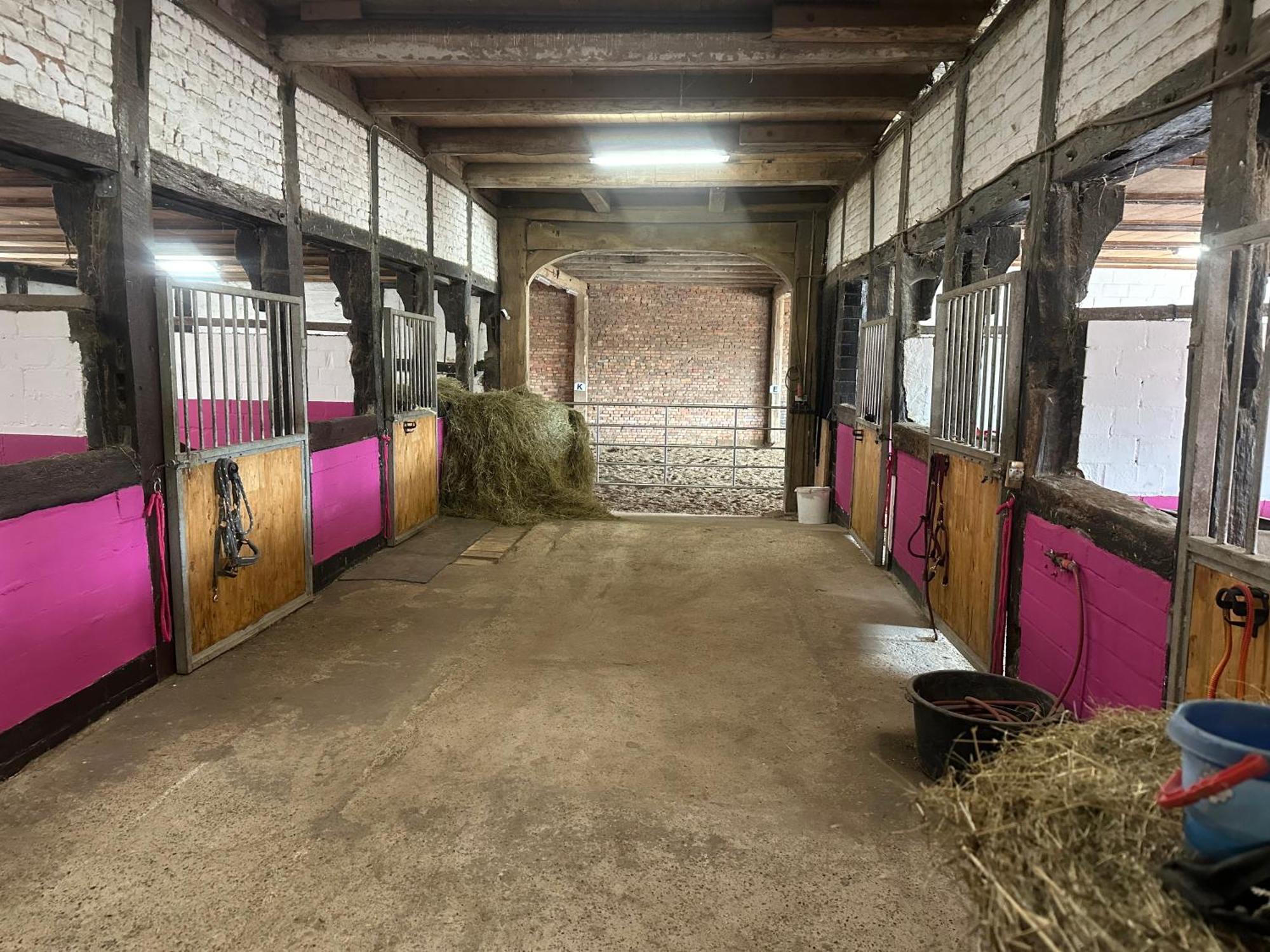 Fewo Im Reit- Und Ponyparadies Roos Halle  Екстер'єр фото